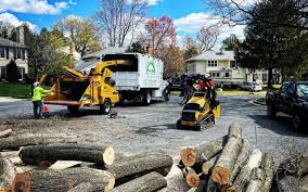 Lawn Grading and Leveling in University Of California Santa Barbara, CA